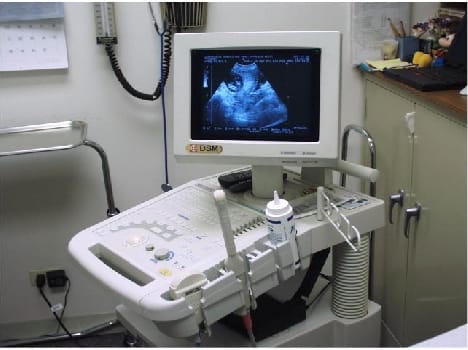 fake ultrasound center justify in sting 
